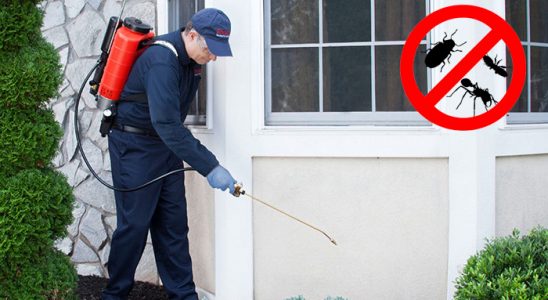 Elazığ Karınca İlaçlama böcek ilaçlama ve haşere kontrolü — ilaclama-tr.com